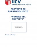 PROYECTO DE EMPRENDEMIENTO