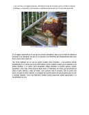 Proyecto final de corrosión en materiales