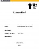 EF Impacto ambierntal en obras de ing.