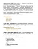 PLAN NACIONAL DE DESARROLLO MINERO-ENERGÉTICO