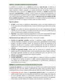 Concepto e importancia social de la Auditoría