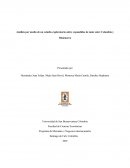 Análisis por medio de un estudio exploratorio sobre expandidos de maíz entre Colombia y Dinamarca