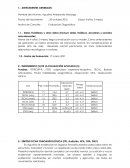Informe fonoaudiologico
