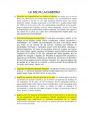 La selva Lacandona