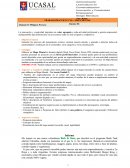 TRABAJO PRÁCTICO Nº 03 – MAPA MENTAL