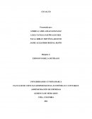 PLAN ESTRATEGICO CH SALUD