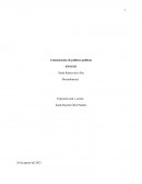 Comunicación de políticas públicas