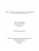 DICORP Y SU IMPACTO POR LA NO MITIGACIÓN DEL EFECTO AMBIENTAL QUE CAUSA EN EL MUNICIPIO DE LÉRIDA TOLIMA