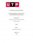 PROGRAMA DE INTERVENCIÓN ORGANIZACIONAL