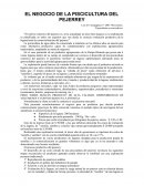 El Negocio de la acuicultura del Peje Rey