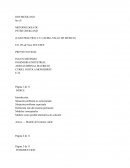 METODOLOGIA DE PETER CHEKLAND caso practico uaemex