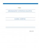 ORGANIZACIÓN Y ESTRATEGIA EDUCATIVA