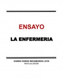 CLARIFICANDO LA DISCIPLINA DE LA ENFERMERIA COMO FUNDAMENTAL PARA EL DESARROLLO DE LA ENFERMERIA PROFESIONAL
