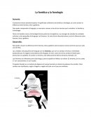 La fonética y la fonología