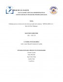 Embalaje para un correcto envío de licores por parte de la empresa ´´SEPOLGARSA S.A.´´ hacia las Islas Galápagos