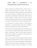 ENSAYO SOBRE EL CUMPLIMIENTO Y NO CUMPLIMIENTO DE LAS POLÍTICAS EDUCATIVAS