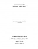 CASOS DE EXITO COMPAÑIAS OREO, TOYOTA, SAMSUNG Y ALPINA
