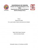 Resumen de "En su justa medida: sistema internacional de unidades"