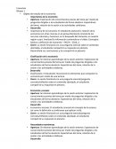 Economía.Clasificación de la economía