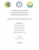 Descripción de las enfermedades cardiovasculares