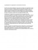 La participación en la organización y funcionamiento del servicio