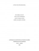 ESTRUCTURA ORGANIZACIONAL ALPINA S.A