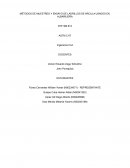 MÉTODOS DE MUESTREO Y ENSAYO DE LADRILLOS DE ARCILLA USADOS EN ALBAÑILERÍA