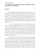 Análisis visual de la escuela, el problema del colonialismo y racismo nacional presentes en la educación