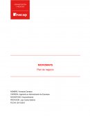 MICROMAPS Plan de negocio