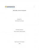 Análisis y sistemas de información