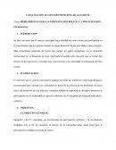 HERRAMIENTAS PARA LA PARTICIPACION POLITICA Y MOVILIZACION CIUDADANA