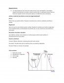 ¿Cómo a través de los drivers se crean las mega tendencias?
