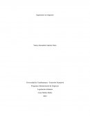 Ingeniemos un impuesto