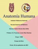 La obra literaria titulada “El Médico”