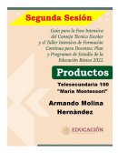 CONSEJO TECNICO TELESECUNDARIA