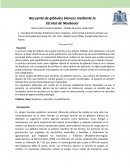 Recuento de glóbulos blancos mediante la técnica de Neubauer