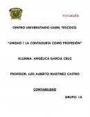LA CONTADURÍA COMO PROFESIÓN