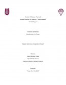 Guía de entrevista a cooperativa pascual