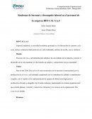 Síndrome de burnout y desempeño laboral en el personal de la empresa RÍO CAL S.A.S