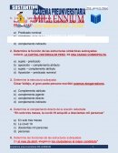 ANALISIS MORFOSINTACTICO