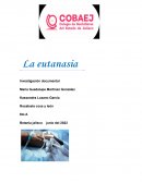 La eutanasia Investigación documental