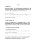EXPO QUIMICA