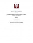 NARCOTRAFICO EN MEXICO DESDE UN ENFOQUE TEORICO Y METODOLOGICO CRITICO