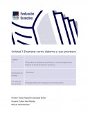 Empresa como sistema y sus procesos