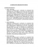 Alinderación urbanización Soraya