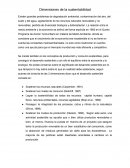 Dimensiones de la sustentabilidad