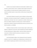 Peter Buquer el renacimiento