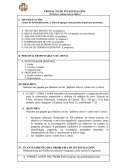 EJEMPLO APLICADO PROYECTO DE INVESTIGACIÓN FORMATO