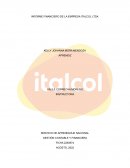 INFORME FINANCIERO DE LA EMPRESA ITALCOL LTDA