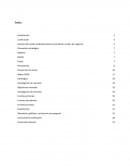 Planeación bolsas ecológicas en lino